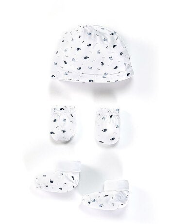 Ensemble accessoires - Terre de Marins