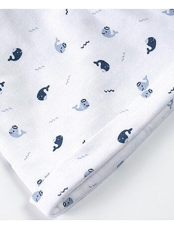 Ensemble accessoires - Terre de Marins