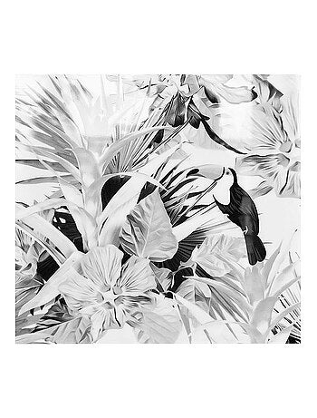 Ensemble de 4 tableaux sur toile imprimée 28x28 cm Amazone