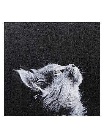 Ensemble de 4 tableaux sur toile imprimée 28x28 cm Funny