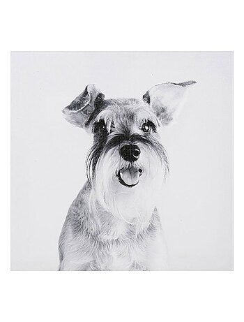 Ensemble de 4 tableaux sur toile imprimée 28x28 cm Funny