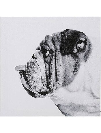 Ensemble de 4 tableaux sur toile imprimée 28x28 cm Funny