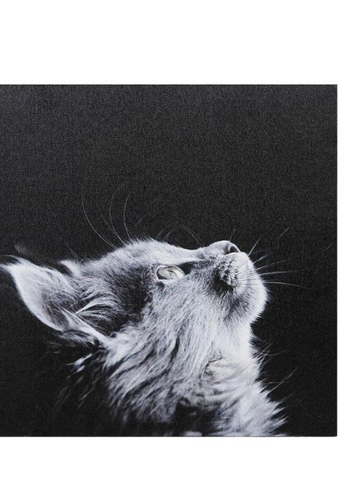 Ensemble de 4 tableaux sur toile imprimée 28x28 cm Funny - Kiabi