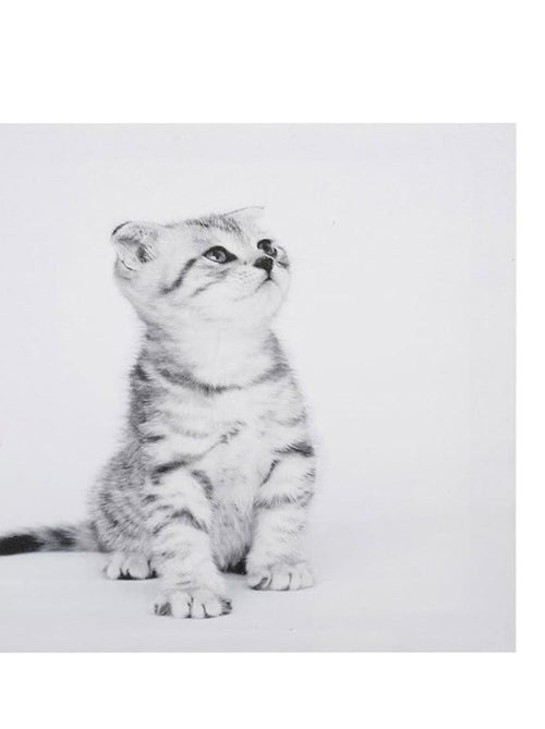 Ensemble de 4 tableaux sur toile imprimée 28x28 cm Funny - Kiabi