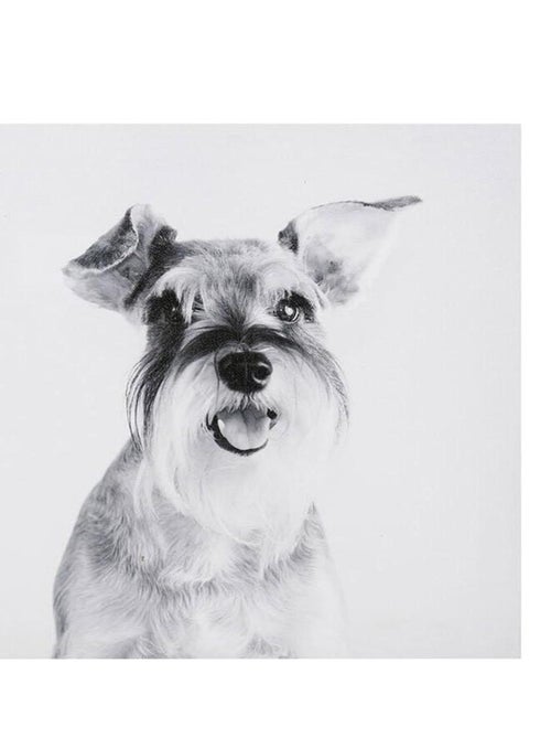 Ensemble de 4 tableaux sur toile imprimée 28x28 cm Funny - Kiabi