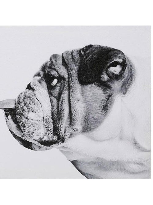 Ensemble de 4 tableaux sur toile imprimée 28x28 cm Funny - Kiabi