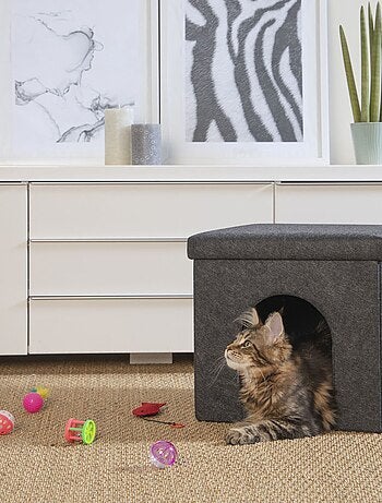 Ensemble de 6 jouets pour chat