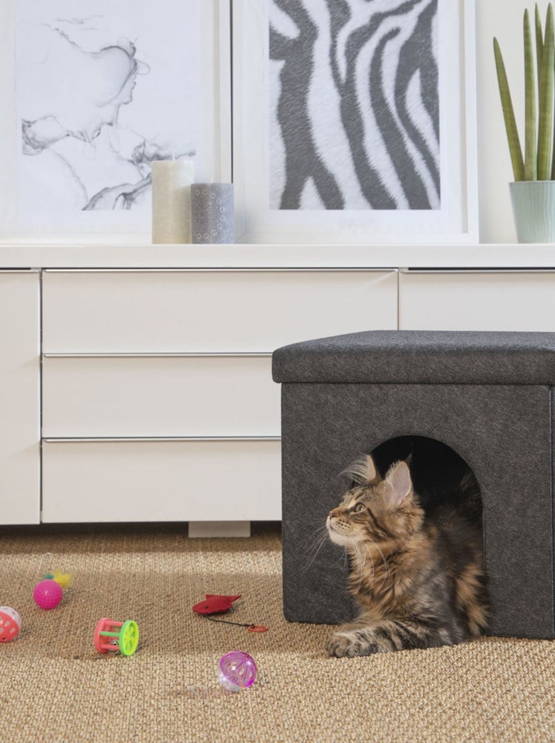 Ensemble de 6 jouets pour chat Multicolore - Kiabi