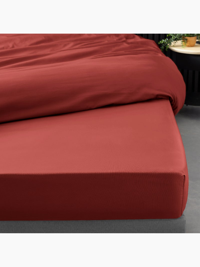 Ensemble literie 4 pièces – drap plat + drap housse + 2 taies – percale 78 fils Terracotta - Kiabi