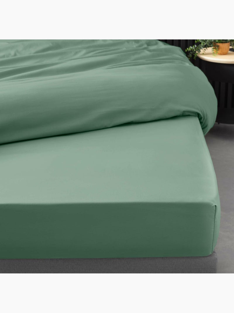 Ensemble literie 4 pièces – drap plat + drap housse + 2 taies – percale 78 fils Vert tilleul - Kiabi