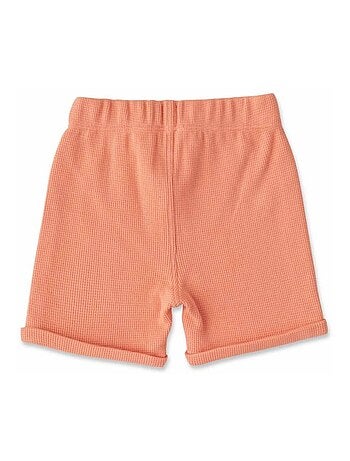 Ensemble short + haut - Terre de Marins