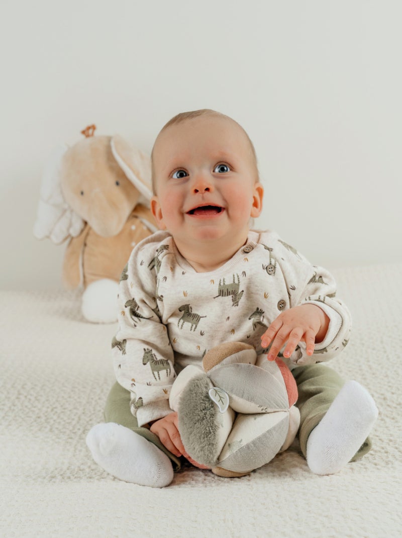 Ensemble sweatshirt et jogging zèbre en Sweatoloudoux® Noukie's Vert - Kiabi