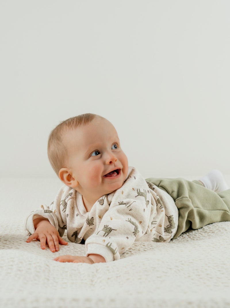 Ensemble sweatshirt et jogging zèbre en Sweatoloudoux® Noukie's Vert - Kiabi