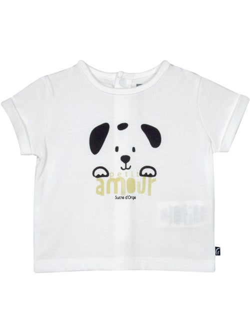 Ensemble T-shirt + short Rocky - Kiabi