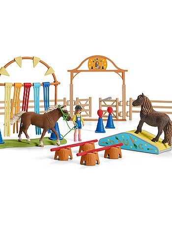 Entraînement d'agility pour poney
