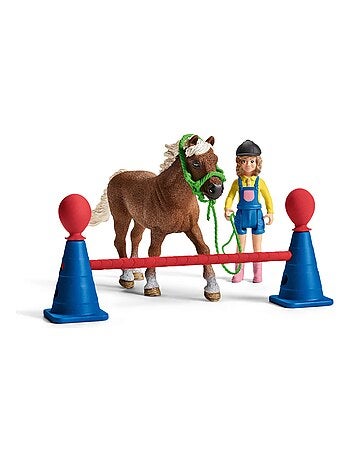Entraînement d'agility pour poney