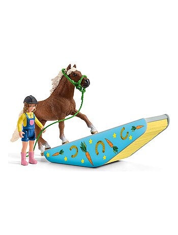 Entraînement d'agility pour poney