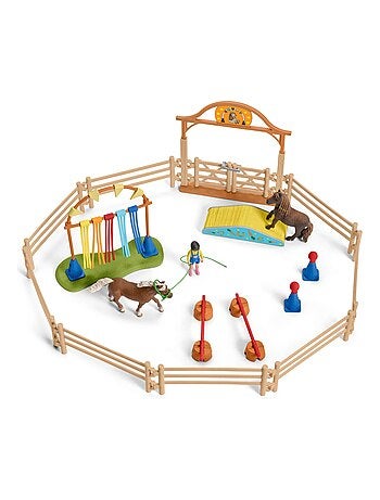 Entraînement d'agility pour poney