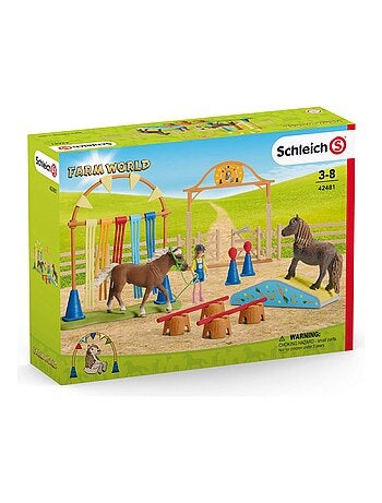 Entraînement d'agility pour poney