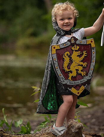 Epée de chevalier Honour en mousse Great Pretenders