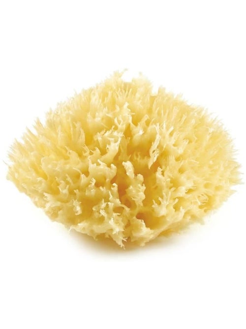 Eponge de mer - thermobaby - honeycomb - naturelle, durable et douce - jaune - Kiabi