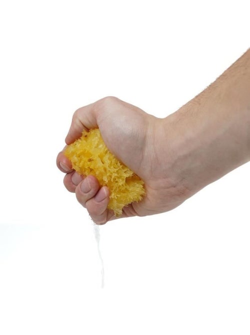Eponge de mer - thermobaby - honeycomb - naturelle, durable et douce - jaune - Kiabi