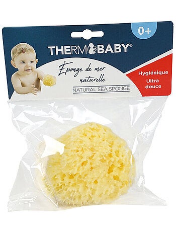 Eponge de mer Honeycomb