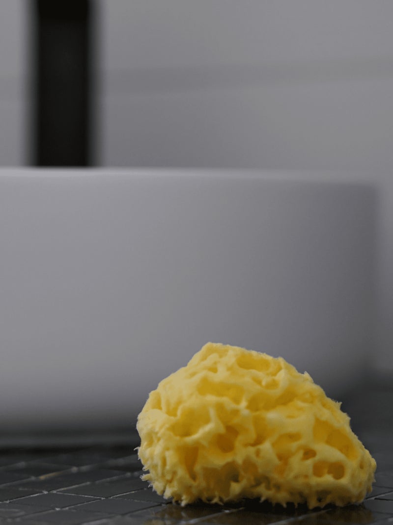 Eponge de mer Honeycomb Jaune - Kiabi