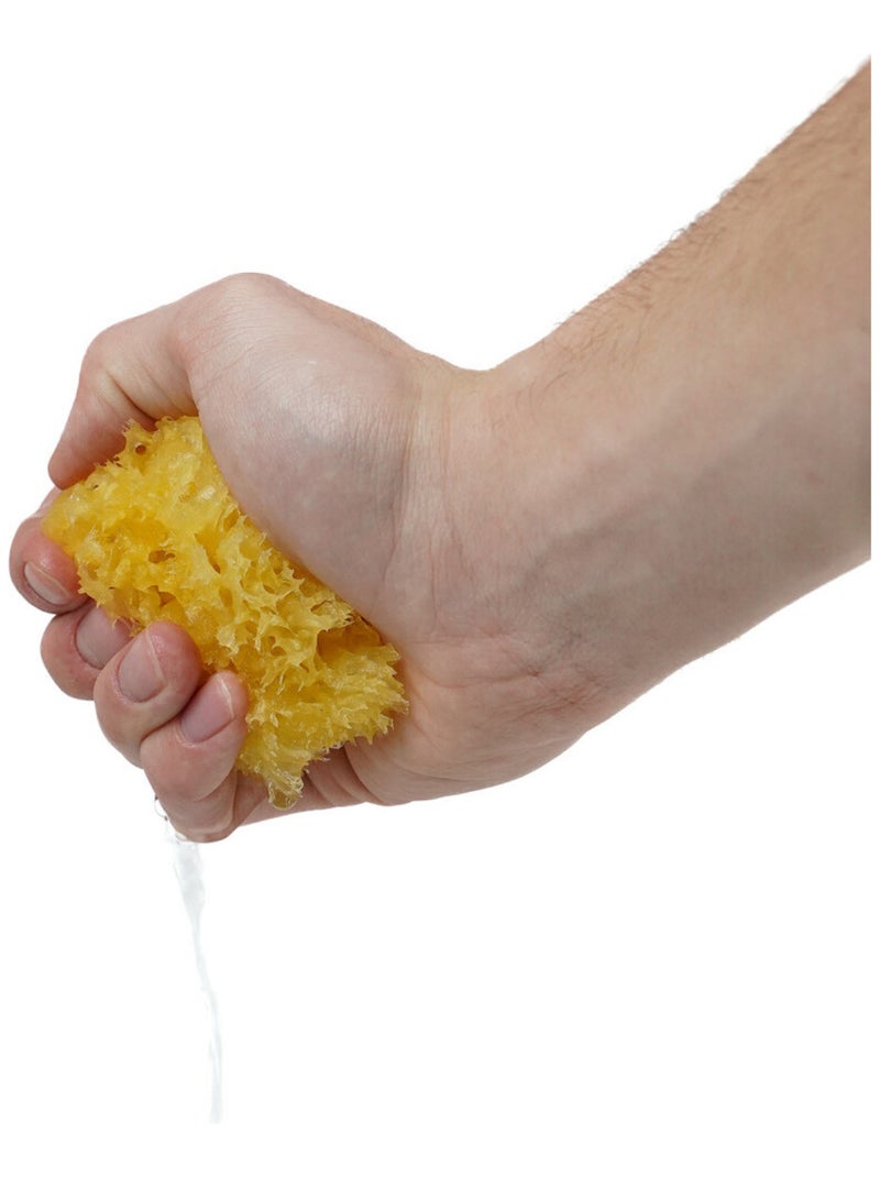 Eponge de mer Honeycomb Jaune - Kiabi