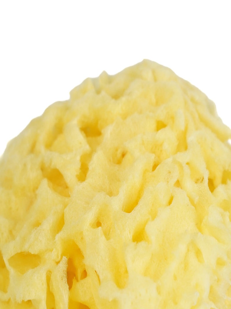 Eponge de mer Honeycomb Jaune - Kiabi