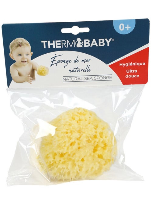 Eponge de mer Honeycomb - Kiabi