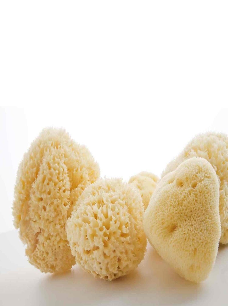 Éponge naturelle et écologique en soie fine Babù Beige - Kiabi