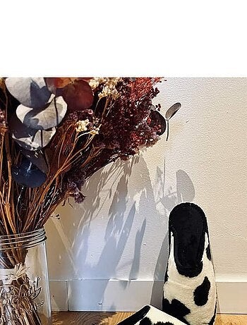 Espadrilles Chaussons imprimée