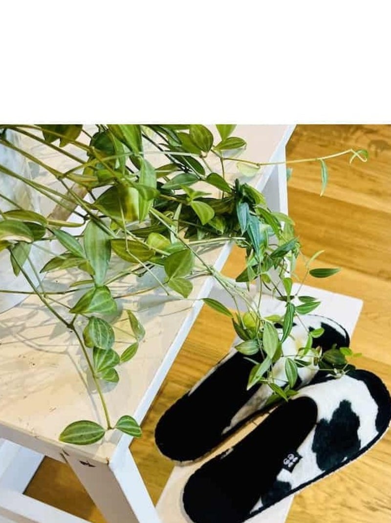 Espadrilles Chaussons imprimée Noir Blanc - Kiabi