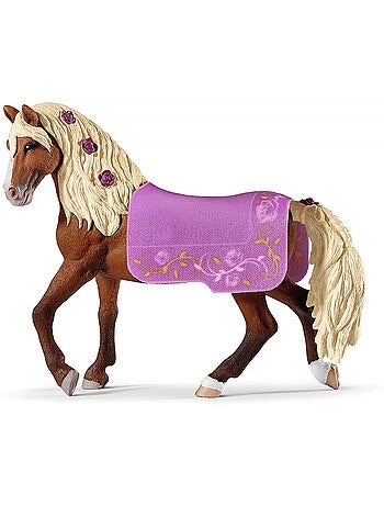 Étalon Paso Fino Spectacle équestre