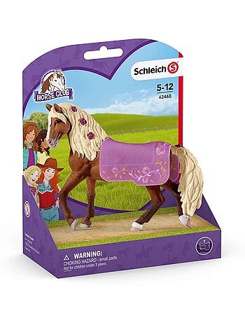 Étalon Paso Fino Spectacle équestre