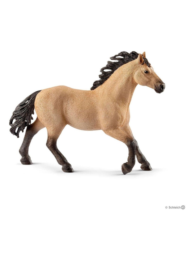 Étalon Quarter horse N/A - Kiabi