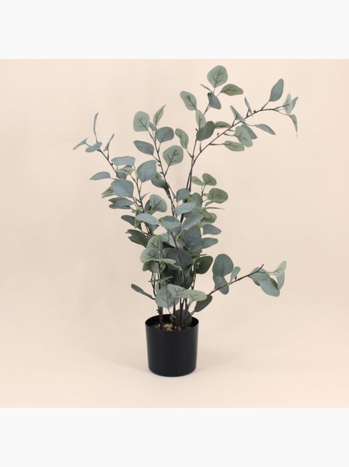 Eucalyptus artificiel 76cm - Kiabi