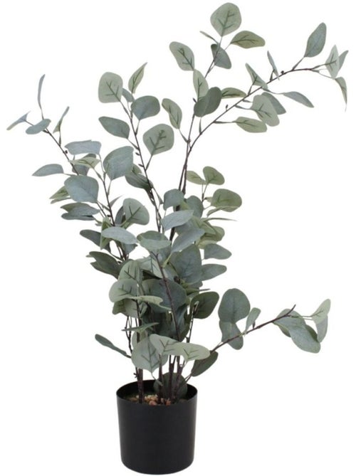 Eucalyptus artificiel 76cm - Kiabi