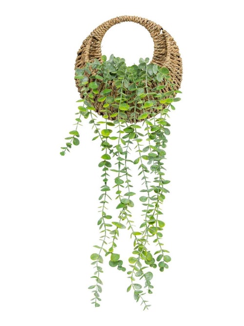 Eucalyptus artificiel à suspendre avec pot en paille ZEA - Kiabi Eucalyptus artificiel à suspendre avec pot en paille ZEA - Kiabi