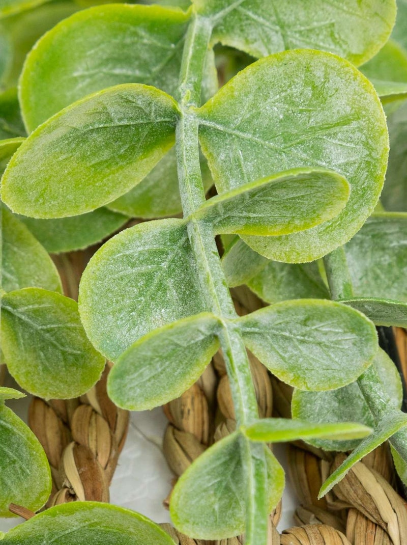 Eucalyptus artificiel à suspendre avec pot en paille ZEA Vert - Kiabi