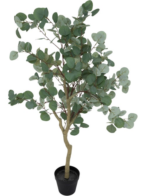 Eucalyptus artificiel CONY - Kiabi