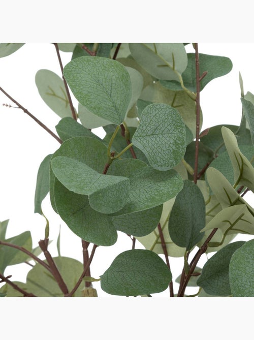 Eucalyptus artificiel CONY - Kiabi
