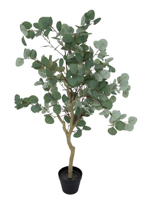 Eucalyptus artificiel en pot CONY - Kiabi Eucalyptus artificiel en pot CONY - Kiabi