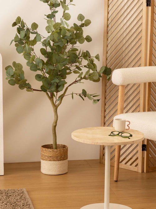 Eucalyptus artificiel en pot CONY - Kiabi Eucalyptus artificiel en pot CONY - Kiabi