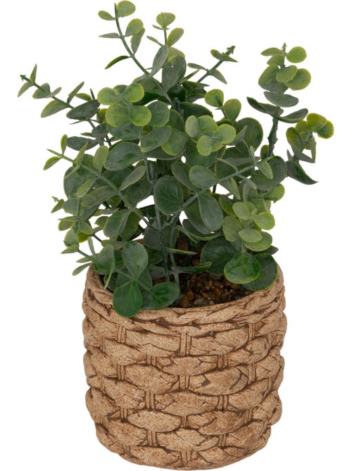 Eucalyptus artificiel en pot en ciment texturé - Kiabi