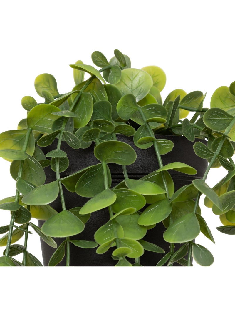 Eucalyptus artificiel MERLY Vert clair - Kiabi