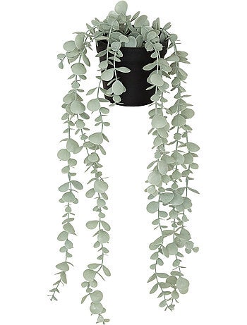 Eucalyptus artificiel tombant en pot