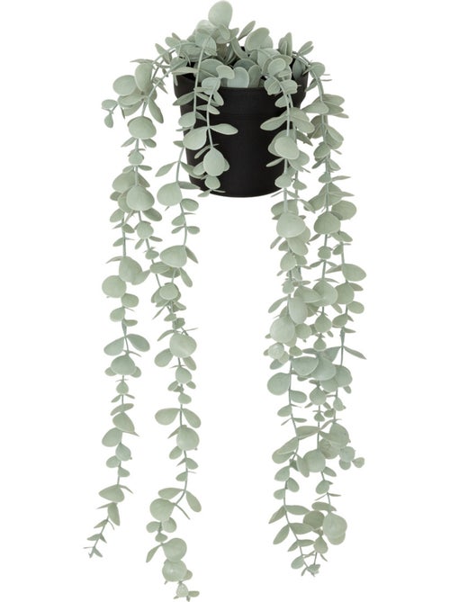 Eucalyptus artificiel tombant en pot - Kiabi