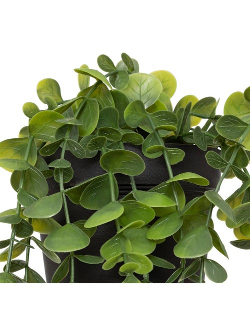 Eucalyptus artificiel tombant en pot - Kiabi